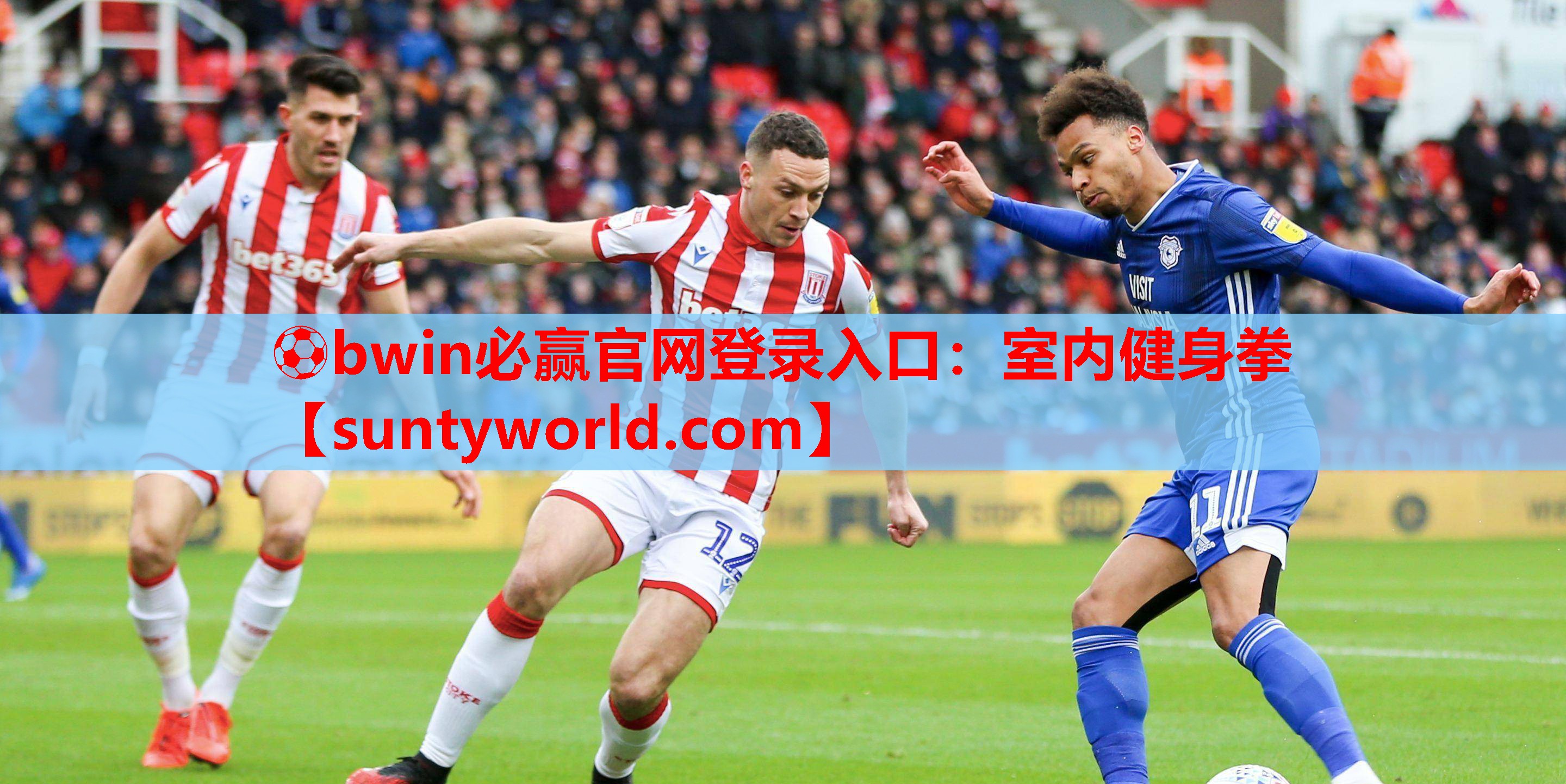 ⚽bwin必赢官网登录入口：室内健身拳