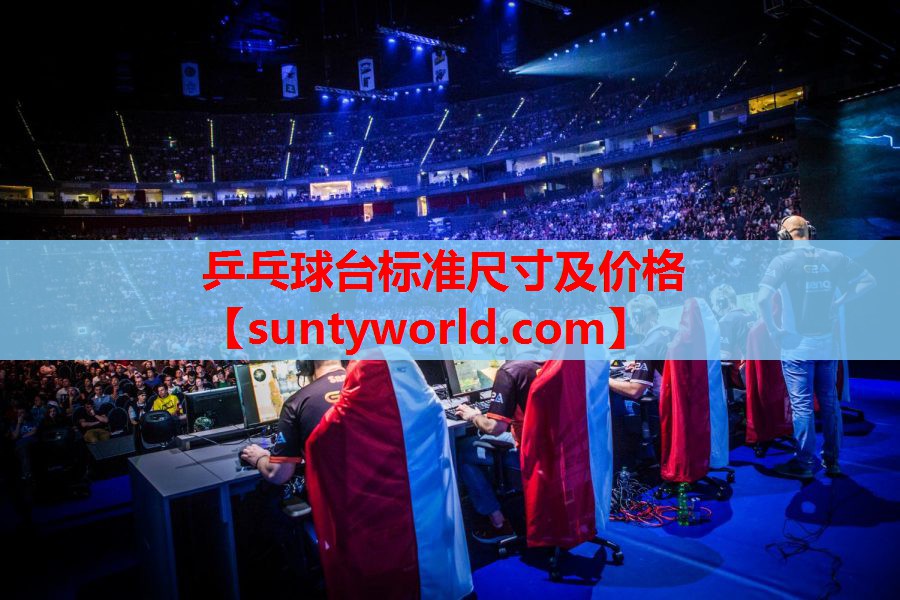 乒乓球台标准尺寸及价格