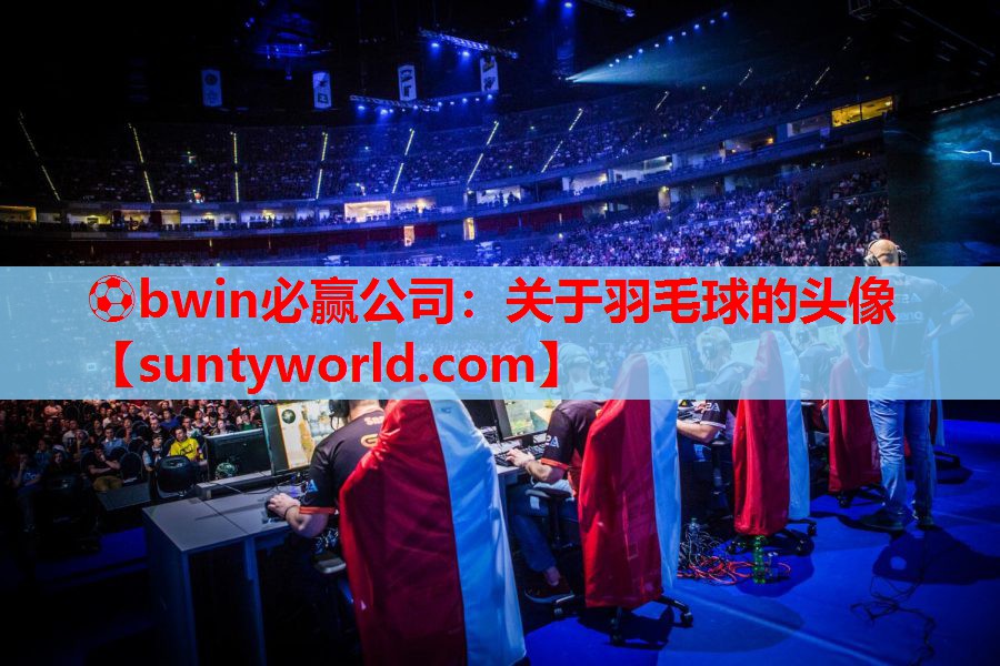 ⚽bwin必赢公司：关于羽毛球的头像